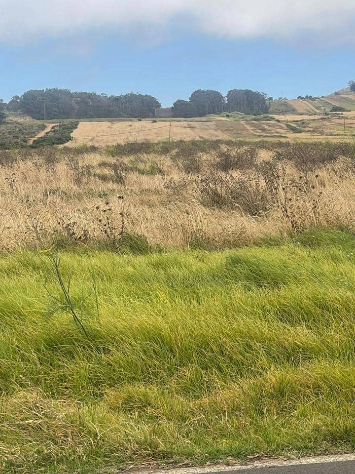 Ubebygd land til salgs i San Cristobal de La Laguna - € 29 900 (Ref: 9103794)