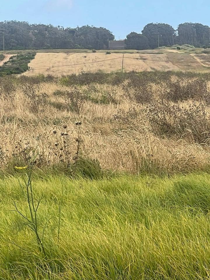 Ubebygd land til salgs i San Cristobal de La Laguna - € 29 900 (Ref: 9103794)