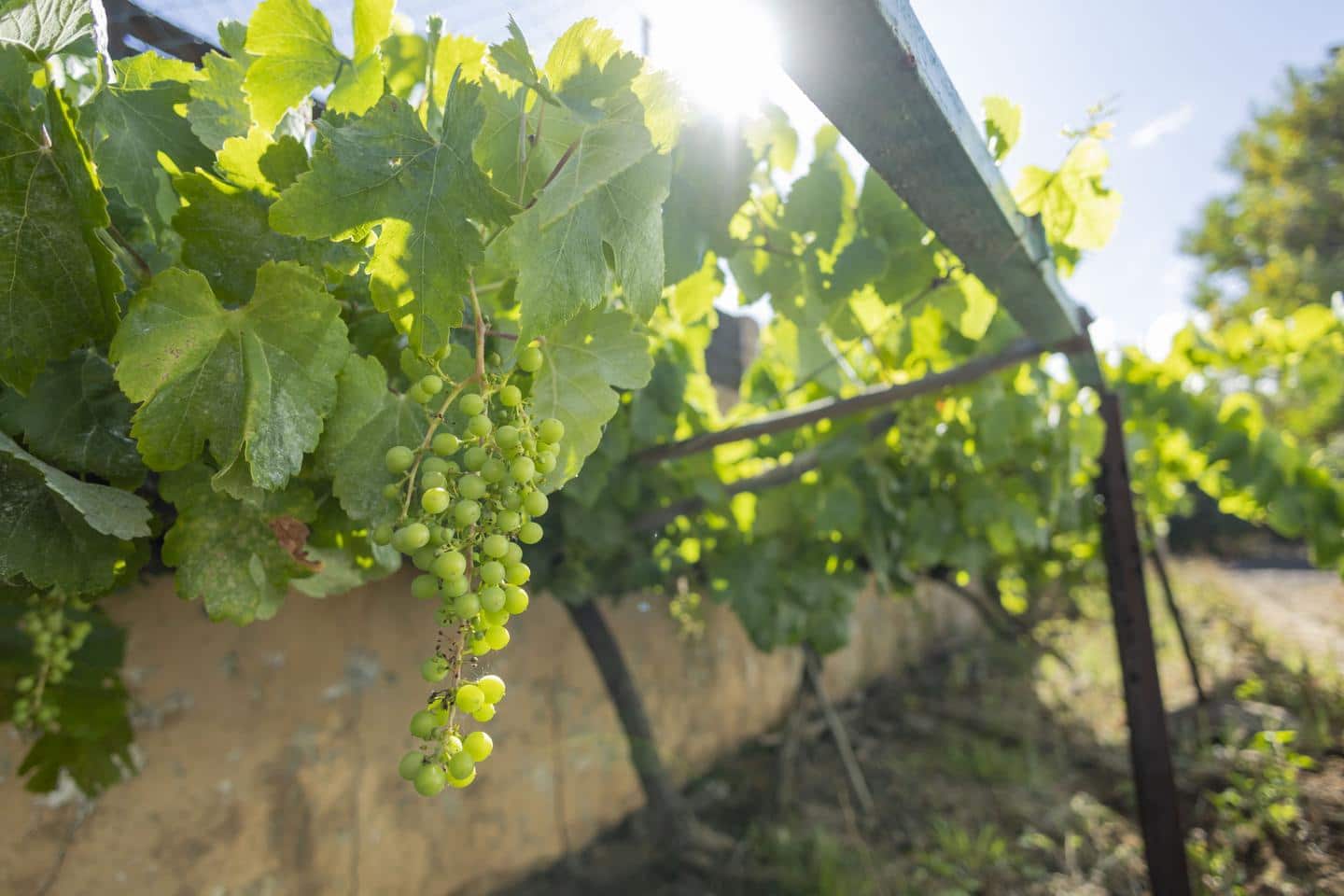 Landgrundstück zu verkaufen in San Cristobal de La Laguna - 450.000 € (Ref: 9104058)