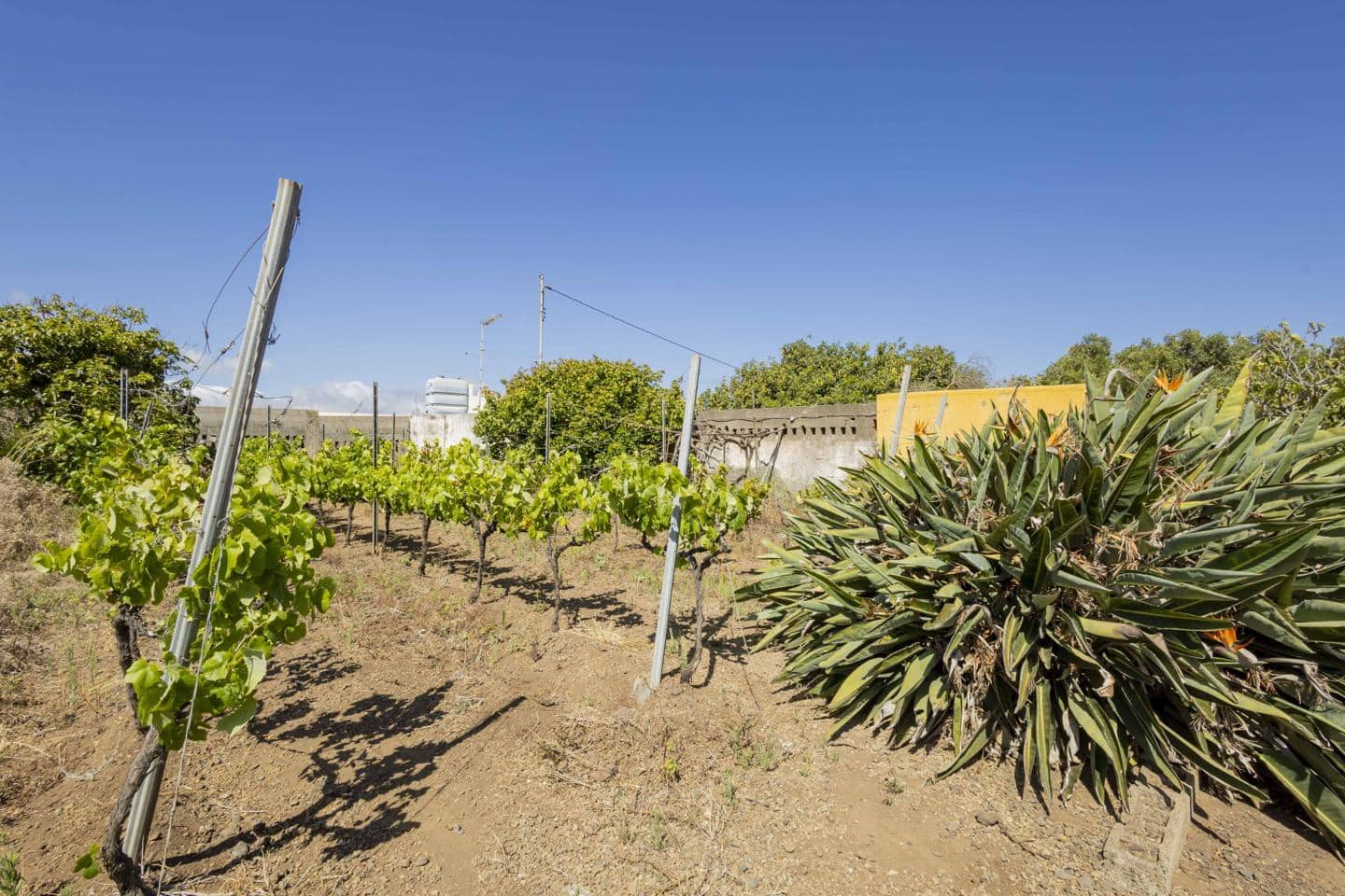 Landgrundstück zu verkaufen in San Cristobal de La Laguna - 450.000 € (Ref: 9104058)