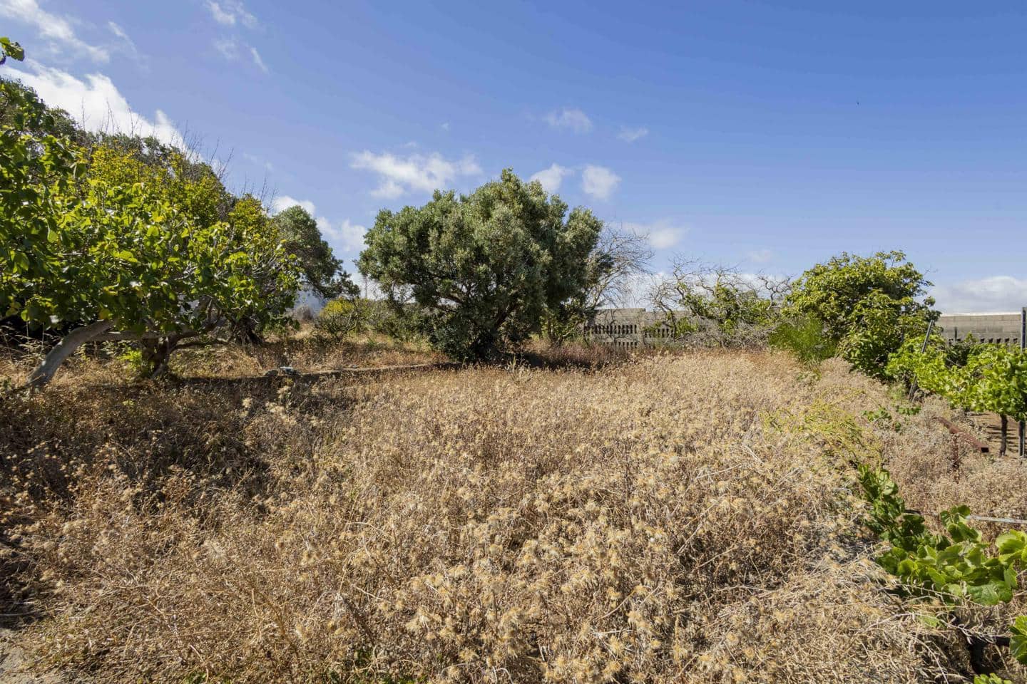 Landgrundstück zu verkaufen in San Cristobal de La Laguna - 450.000 € (Ref: 9104058)