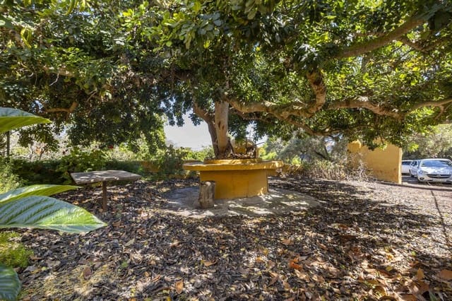 Grond te koop in San Cristóbal de La Laguna - € 450.000 (Ref: 9104058)