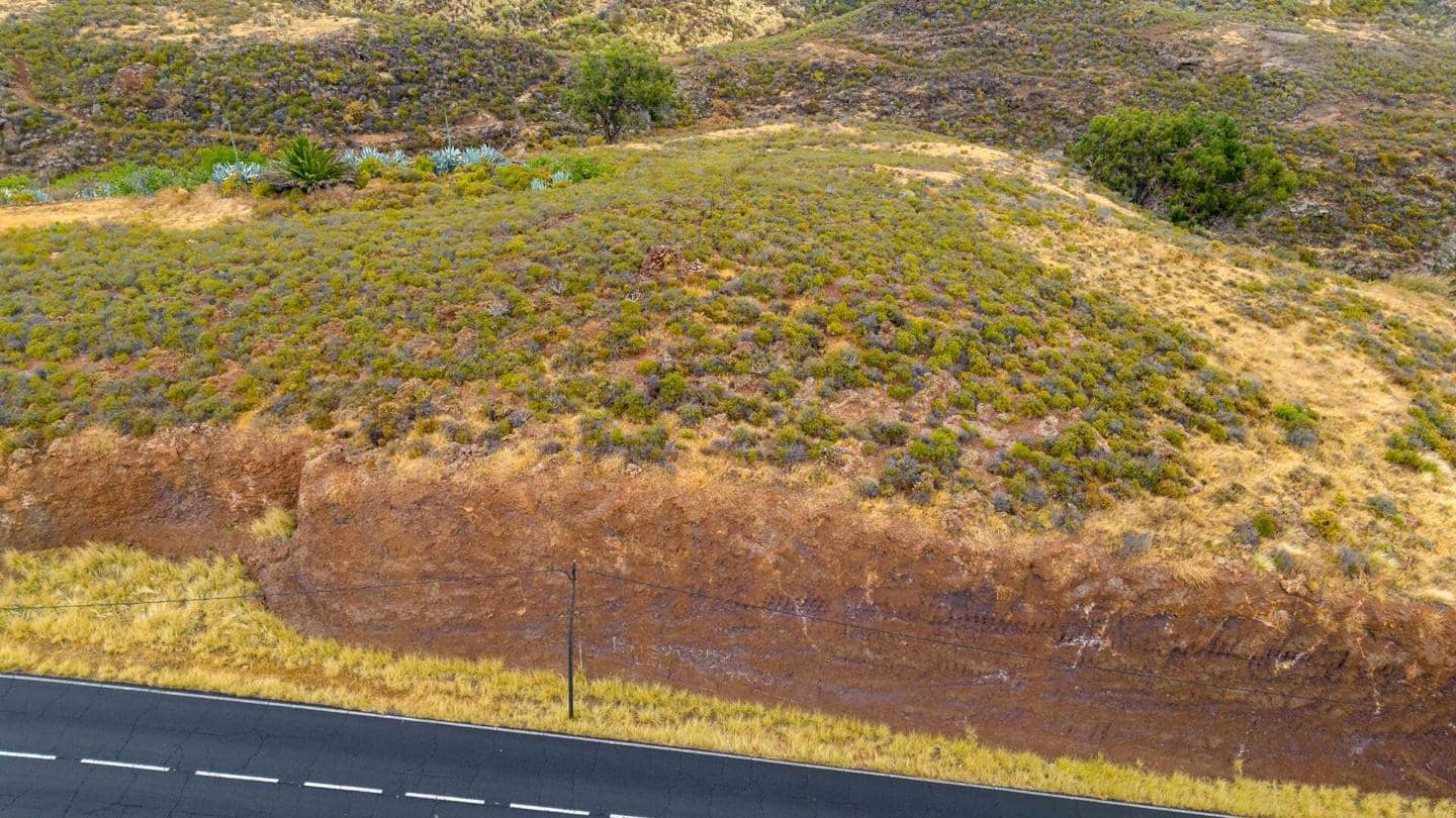 Ubebygd land til salgs i El Rosario - € 36 000 (Ref: 9108242)