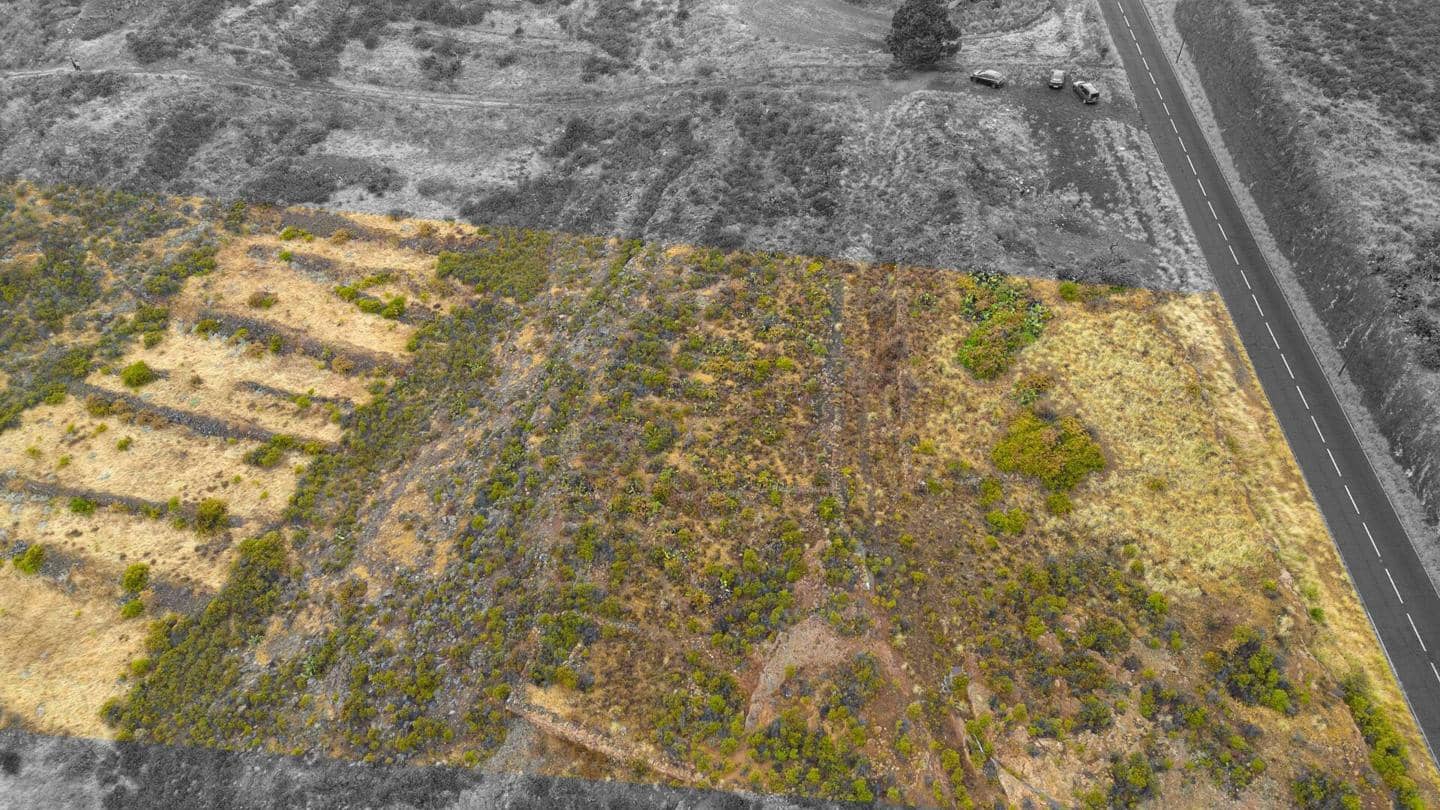 Grunde uden byggetilladelser til salg i El Rosario - € 69.000 (Ref: 9109305)