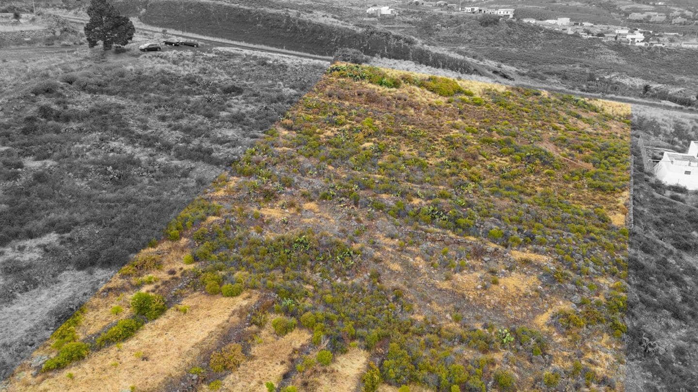 Grunde uden byggetilladelser til salg i El Rosario - € 69.000 (Ref: 9109305)