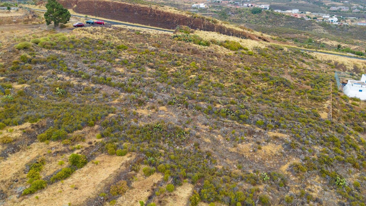 Grunde uden byggetilladelser til salg i El Rosario - € 69.000 (Ref: 9109305)