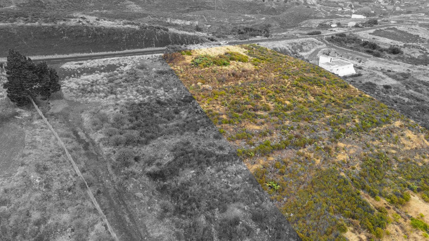 Grunde uden byggetilladelser til salg i El Rosario - € 69.000 (Ref: 9109305)