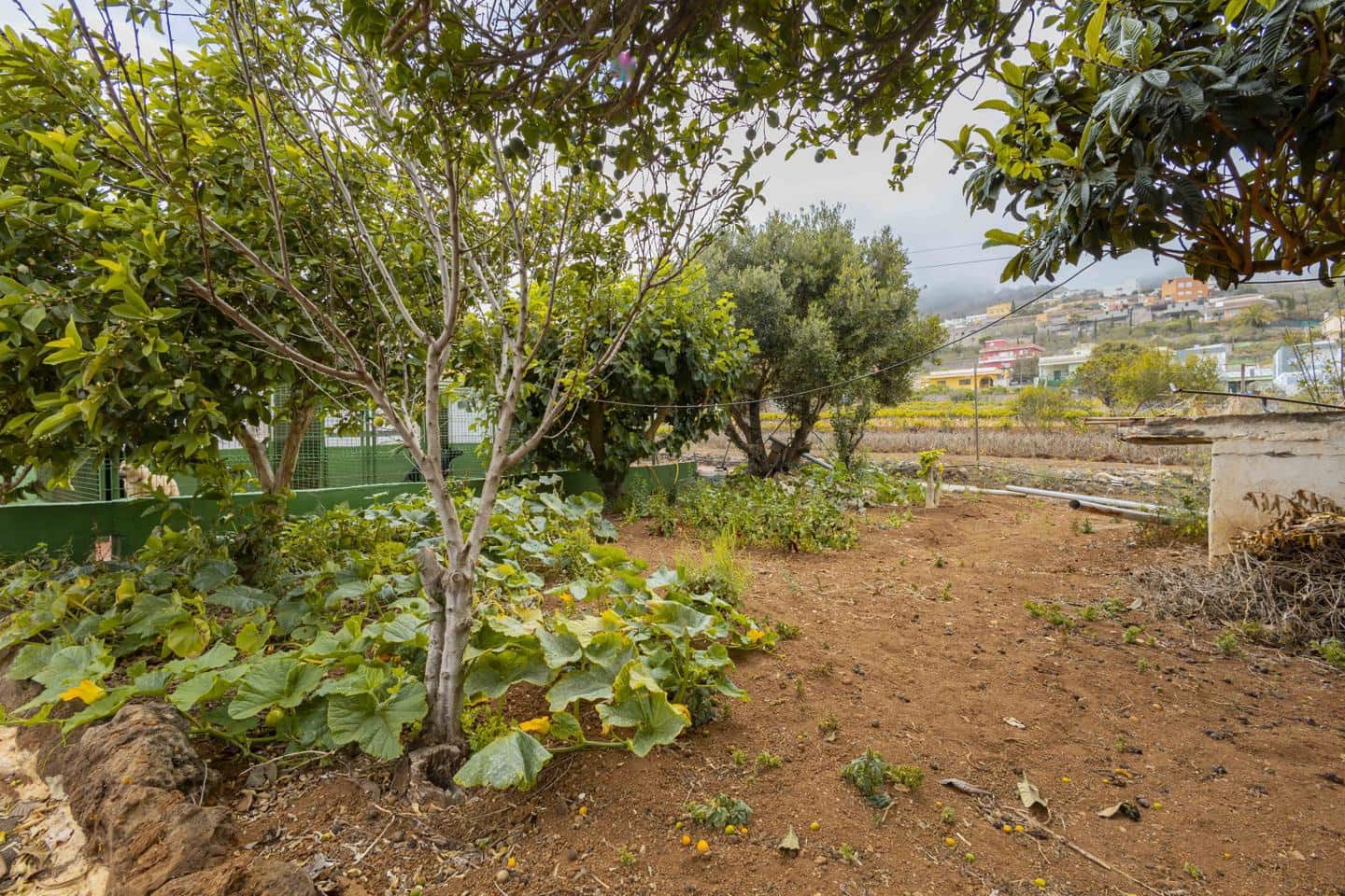 3 soveværelse Villa til salg i San Cristobal de La Laguna - € 550.000 (Ref: 9142399)