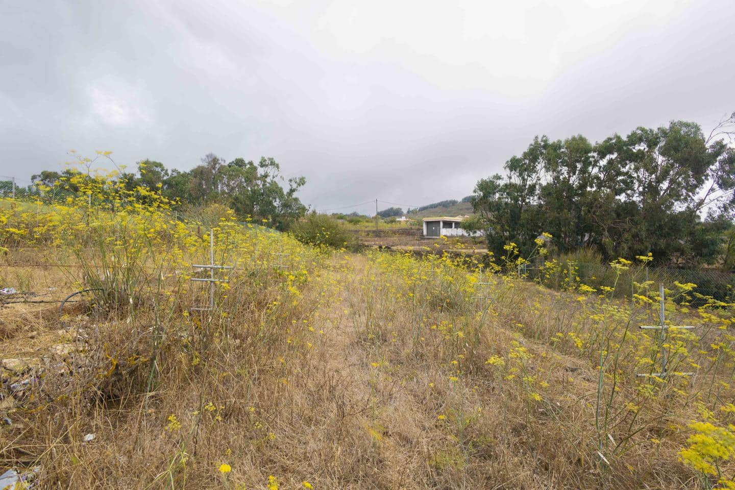 1 soveværelse Villa til salg i San Cristobal de La Laguna - € 295.000 (Ref: 9162668)