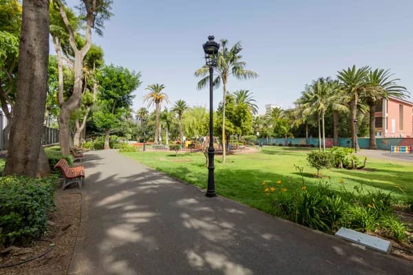 1 Zimmer Firma/Unternehmen zu vermieten in San Cristóbal de La Laguna - 950 € (Ref: 9172509)