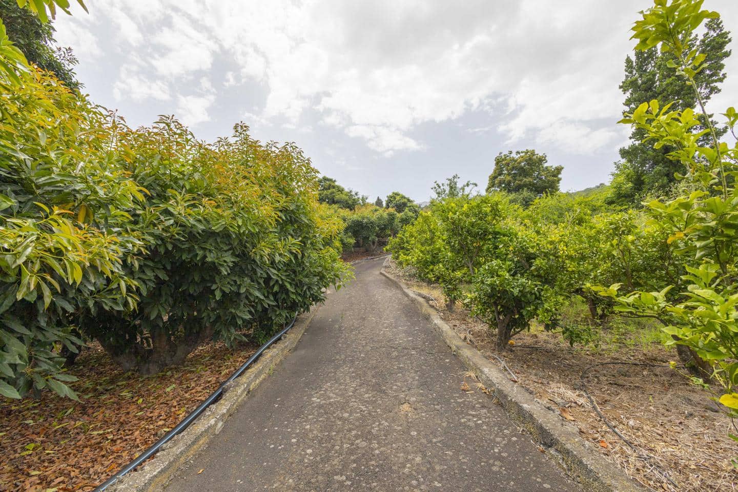 3 sovrum Finca/Hus på landet till salu i La Orotava - 750 000 € (Ref: 9180613)