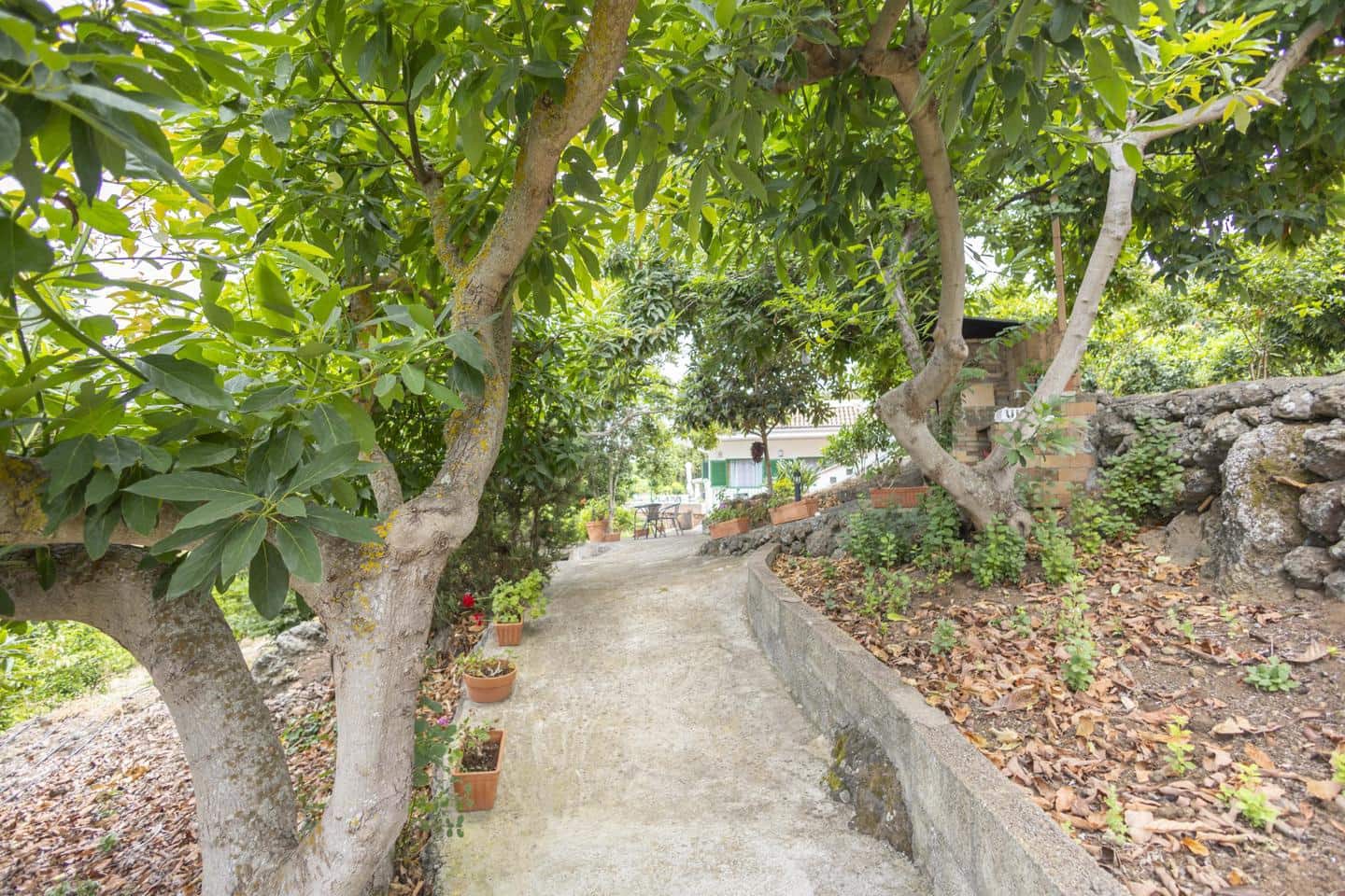 3 sovrum Finca/Hus på landet till salu i La Orotava - 750 000 € (Ref: 9180613)