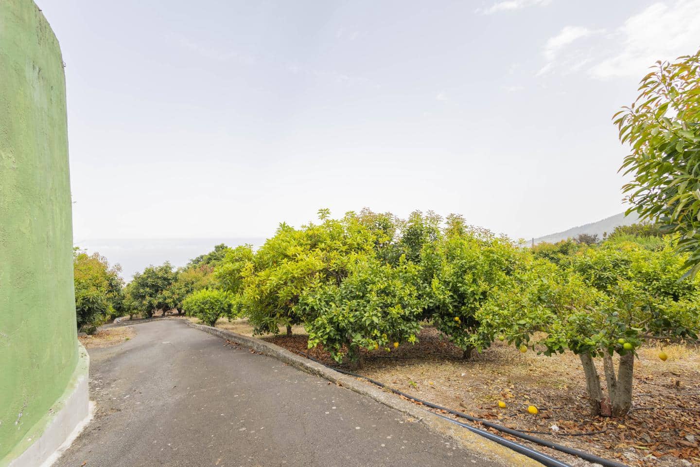 Finca/Casa Rural de 3 habitaciones en La Orotava en venta - 699.750 € (Ref: 9180613)