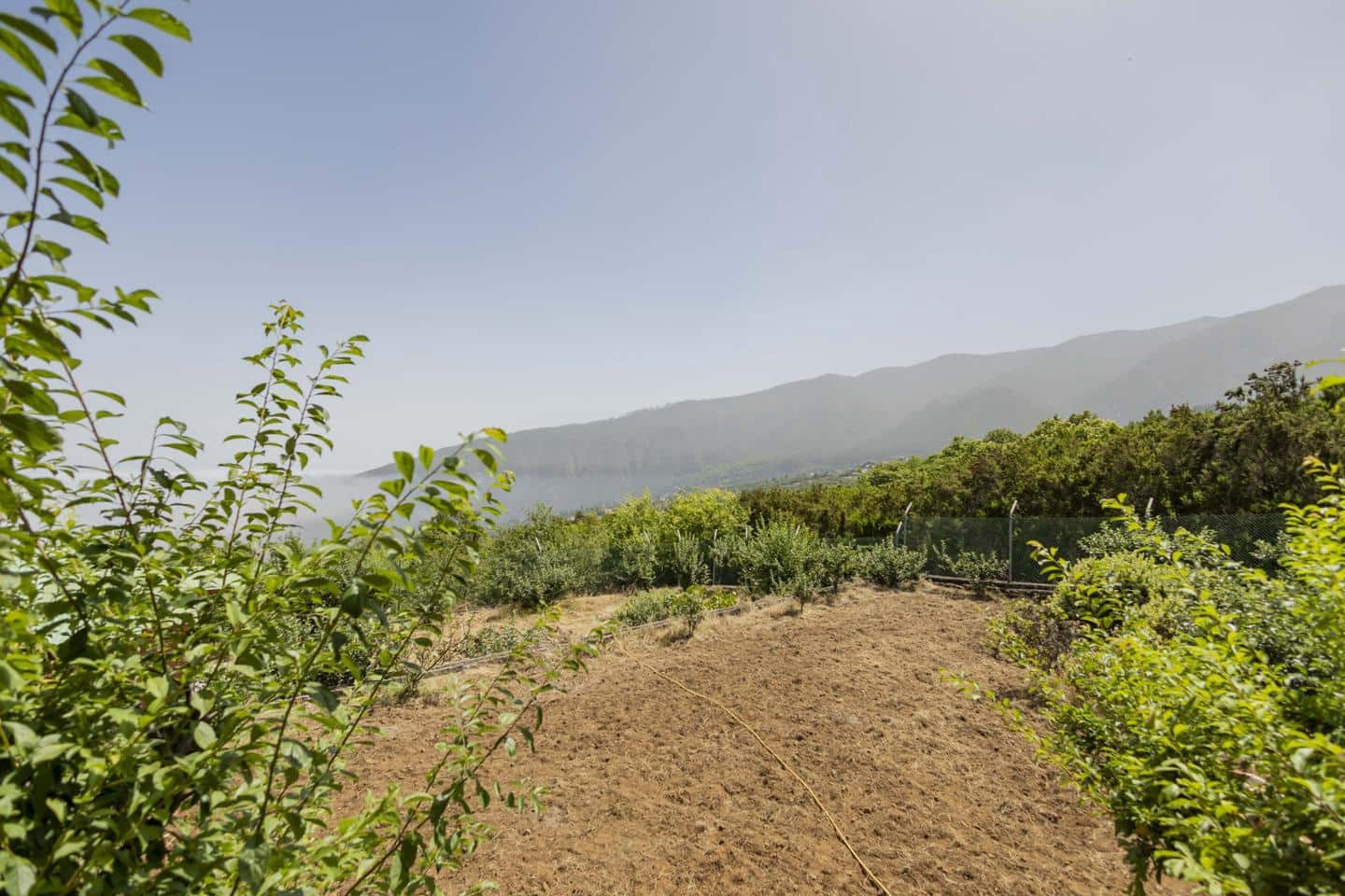 3 sypialnia Willa na sprzedaż w La Orotava - 269 000 € (Ref: 9181479)