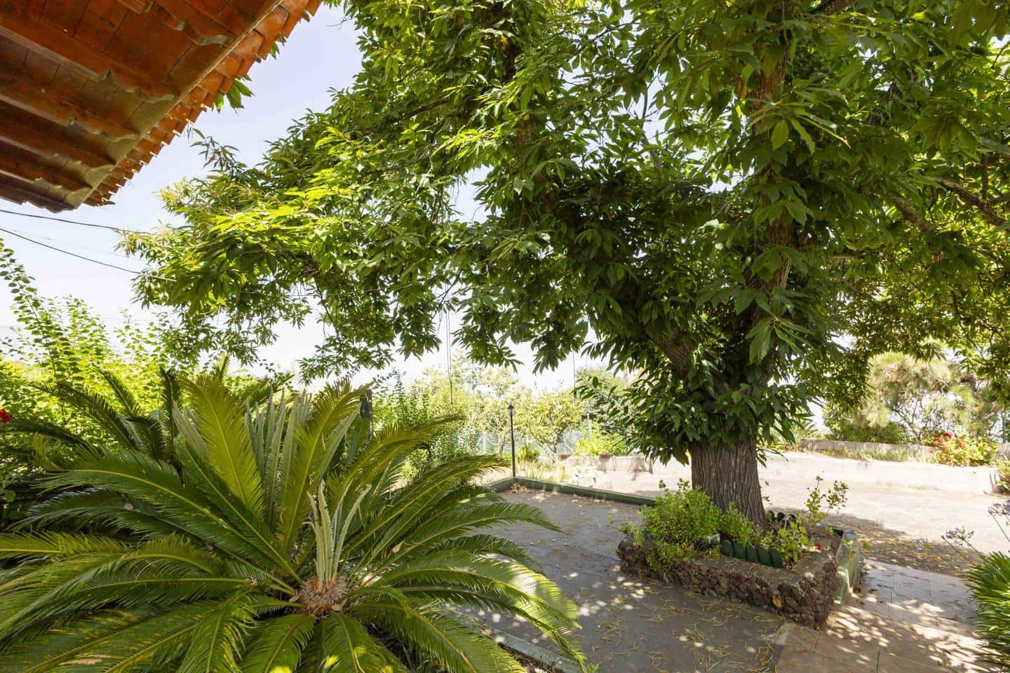 3 sypialnia Willa na sprzedaż w La Orotava - 269 000 € (Ref: 9181479)