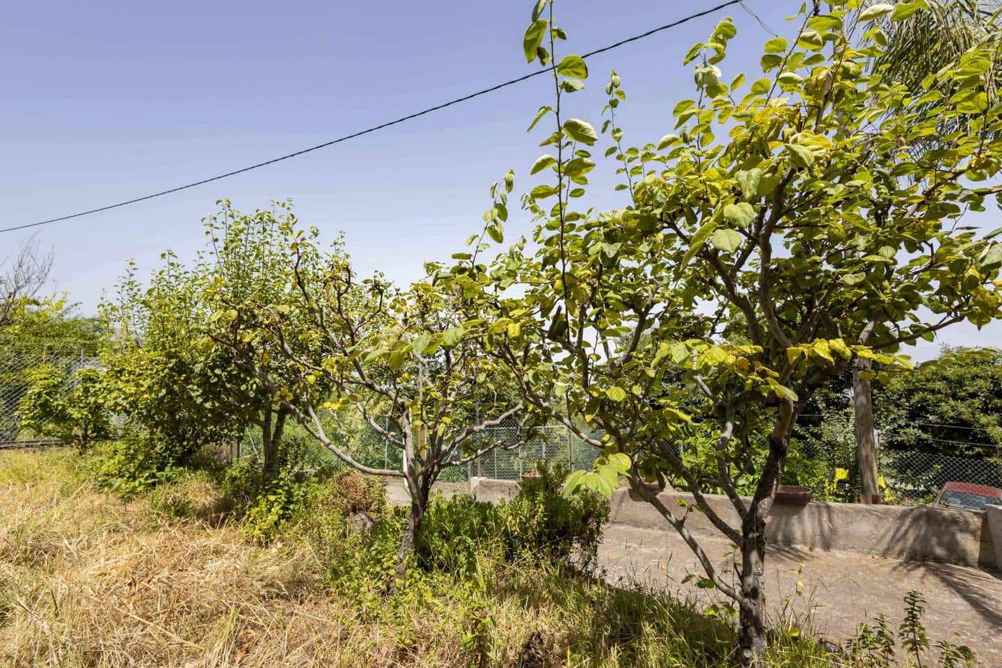 3 sypialnia Willa na sprzedaż w La Orotava - 269 000 € (Ref: 9181479)