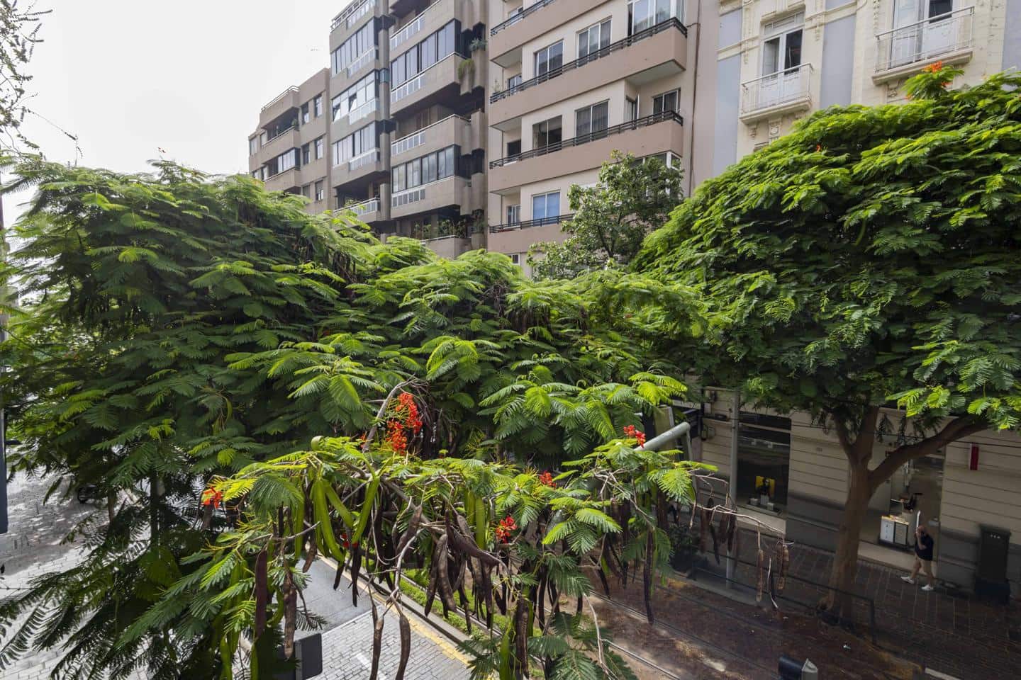 3 soverom Leilighet til salgs i Santa Cruz de Tenerife - € 445 500 (Ref: 9234980)