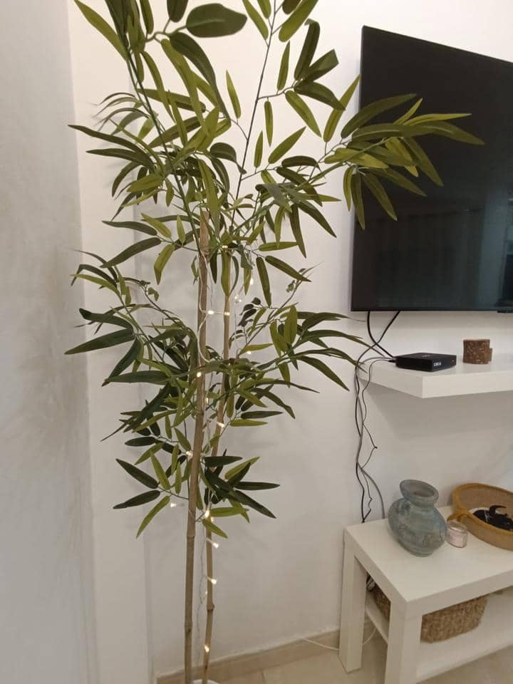 1 soveværelse Lejlighed til leje i Puerto de la Cruz - € 850 (Ref: 9235304)