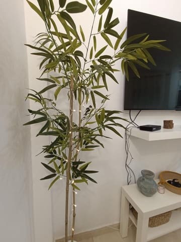 1 soveværelse Lejlighed til leje i Puerto de la Cruz - € 850 (Ref: 9235304)