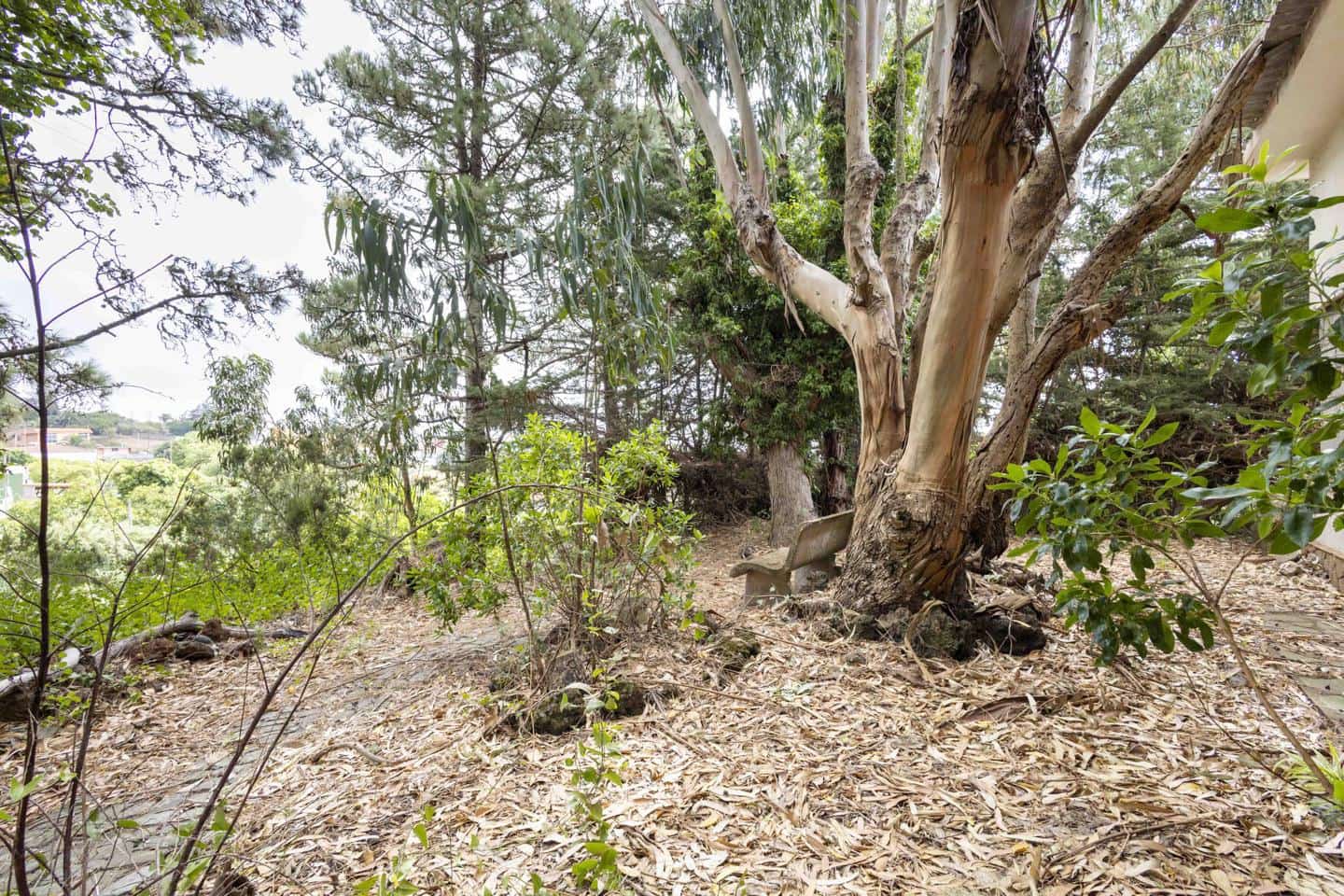 3 soveværelse Villa til salg i El Rosario - € 699.000 (Ref: 9238862)