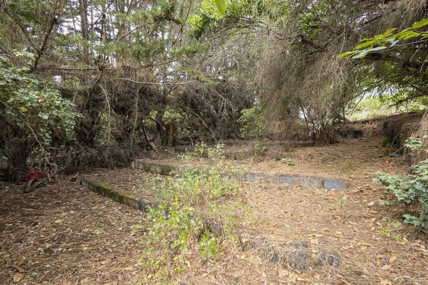 3 soveværelse Villa til salg i El Rosario - € 699.000 (Ref: 9238862)