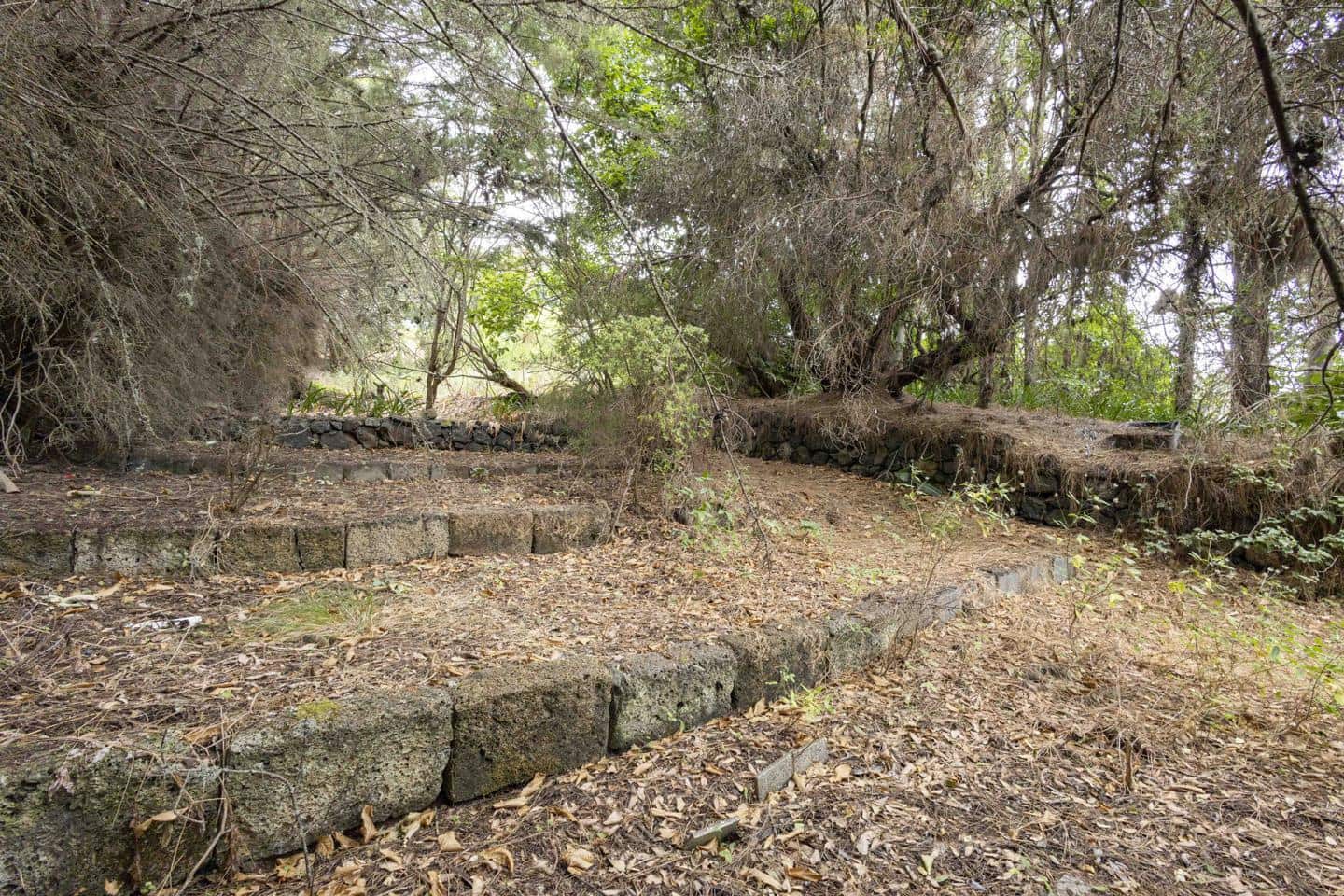 3 soveværelse Villa til salg i El Rosario - € 699.000 (Ref: 9238862)