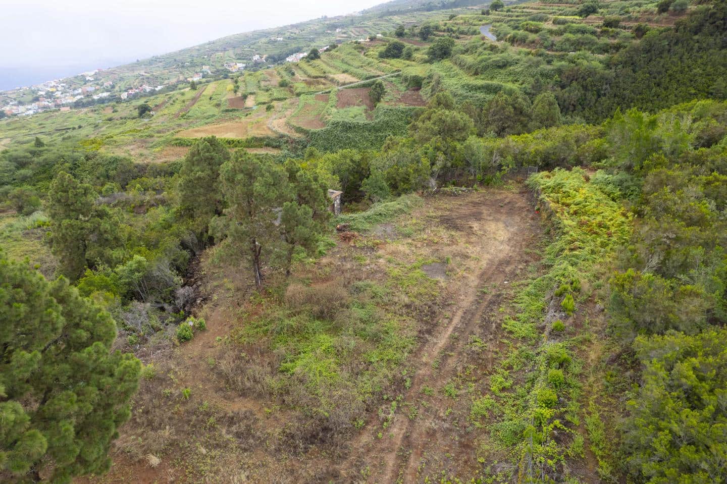 Undeveloped Land for sale in San Juan de la Rambla - € 260,000 (Ref: 9242350)