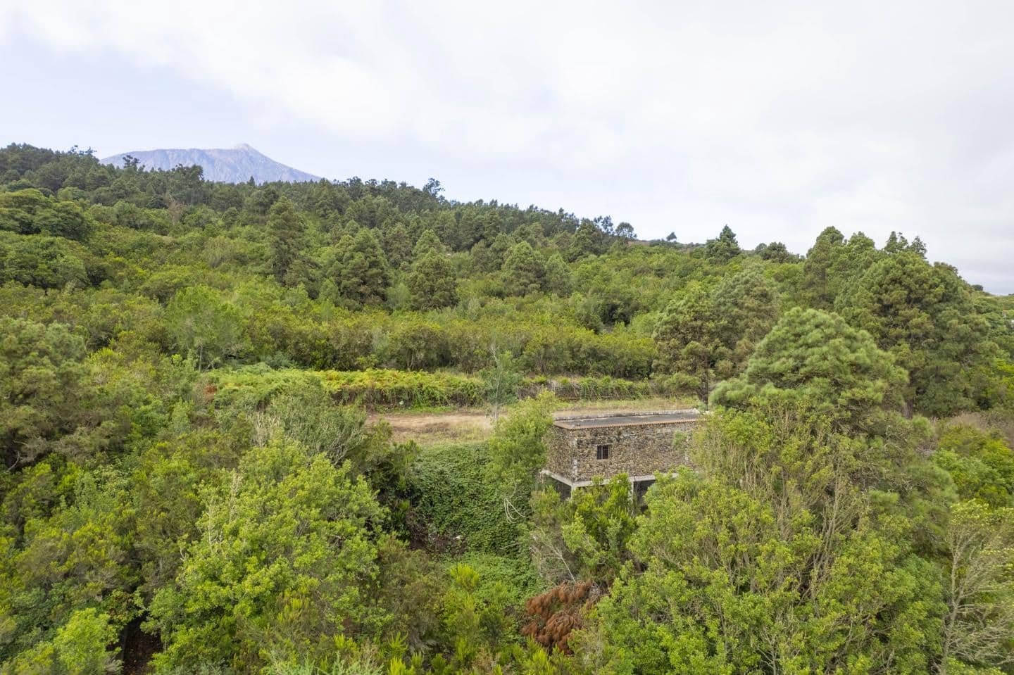 Undeveloped Land for sale in San Juan de la Rambla - € 260,000 (Ref: 9242350)