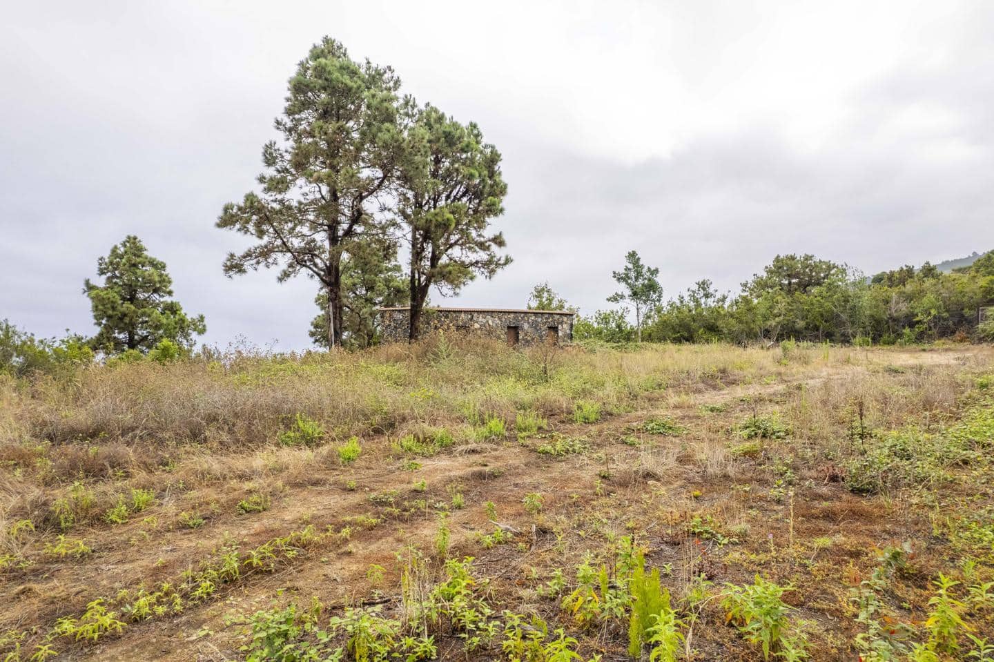 Undeveloped Land for sale in San Juan de la Rambla - € 260,000 (Ref: 9242350)