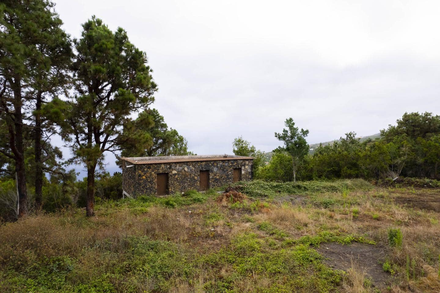 Undeveloped Land for sale in San Juan de la Rambla - € 260,000 (Ref: 9242350)