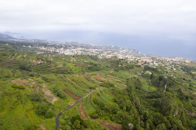 Undeveloped Land for sale in San Juan de la Rambla - € 260,000 (Ref: 9242350)