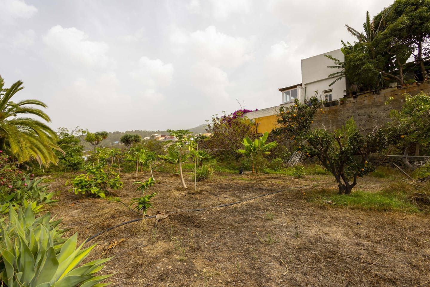 3 soverom Villa til salgs i Icod de los Vinos - € 439 000 (Ref: 9251515)