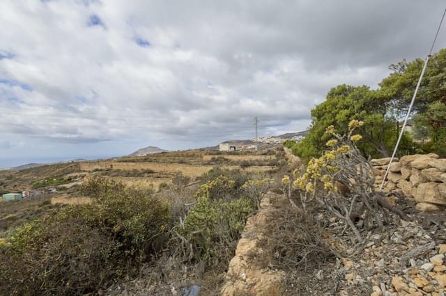 Terre non Aménagée à vendre à Granadilla de Abona - 189 000 € (Ref: 9289396)