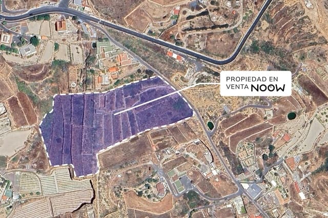 Terre non Aménagée à vendre à Granadilla de Abona - 189 000 € (Ref: 9289396)