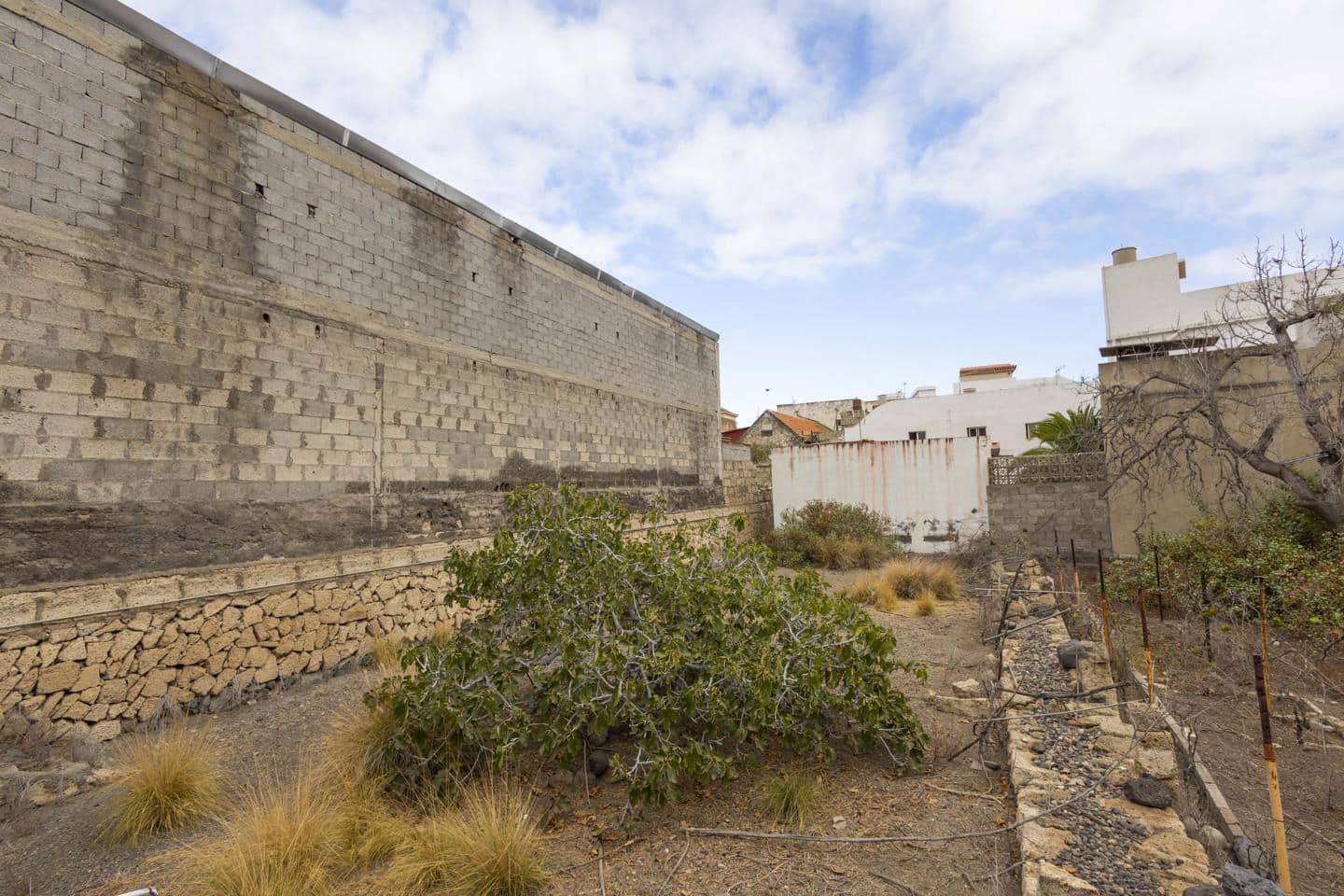 Mark till salu i Guimar - 95 000 € (Ref: 9363045)