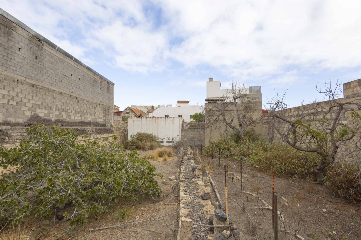 Mark till salu i Guimar - 95 000 € (Ref: 9363045)