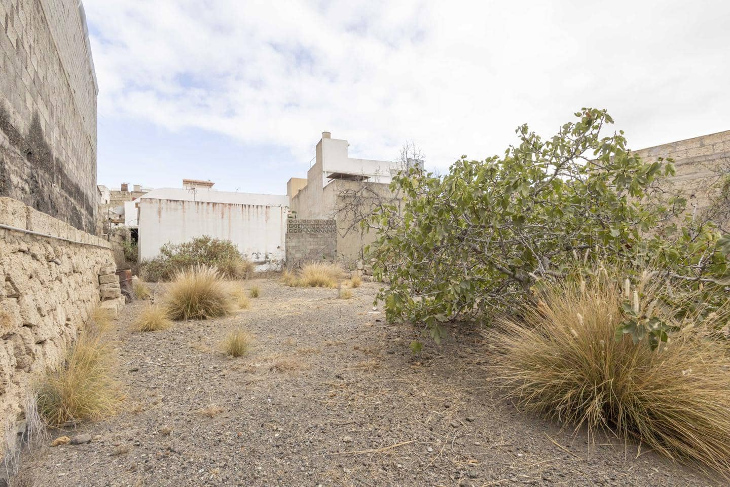 Mark till salu i Guimar - 95 000 € (Ref: 9363045)