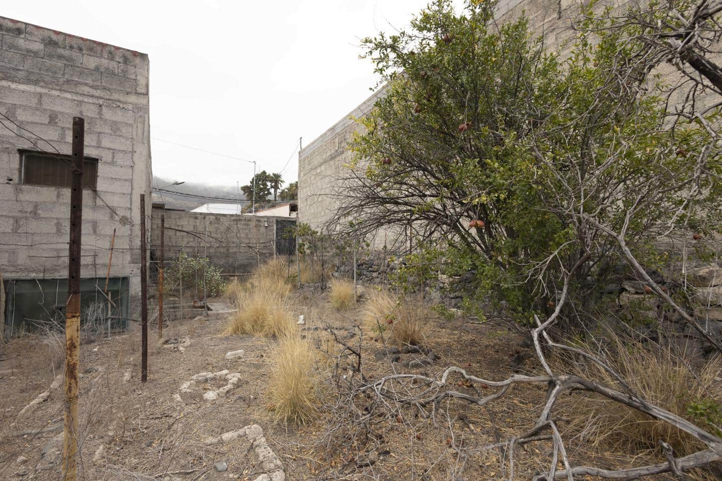 Mark till salu i Guimar - 95 000 € (Ref: 9363045)