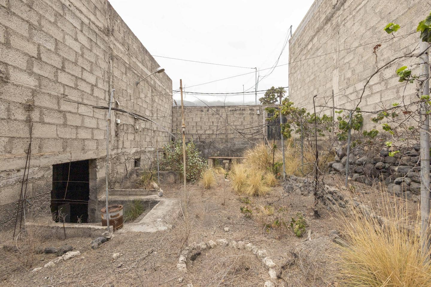 Mark till salu i Guimar - 95 000 € (Ref: 9363045)