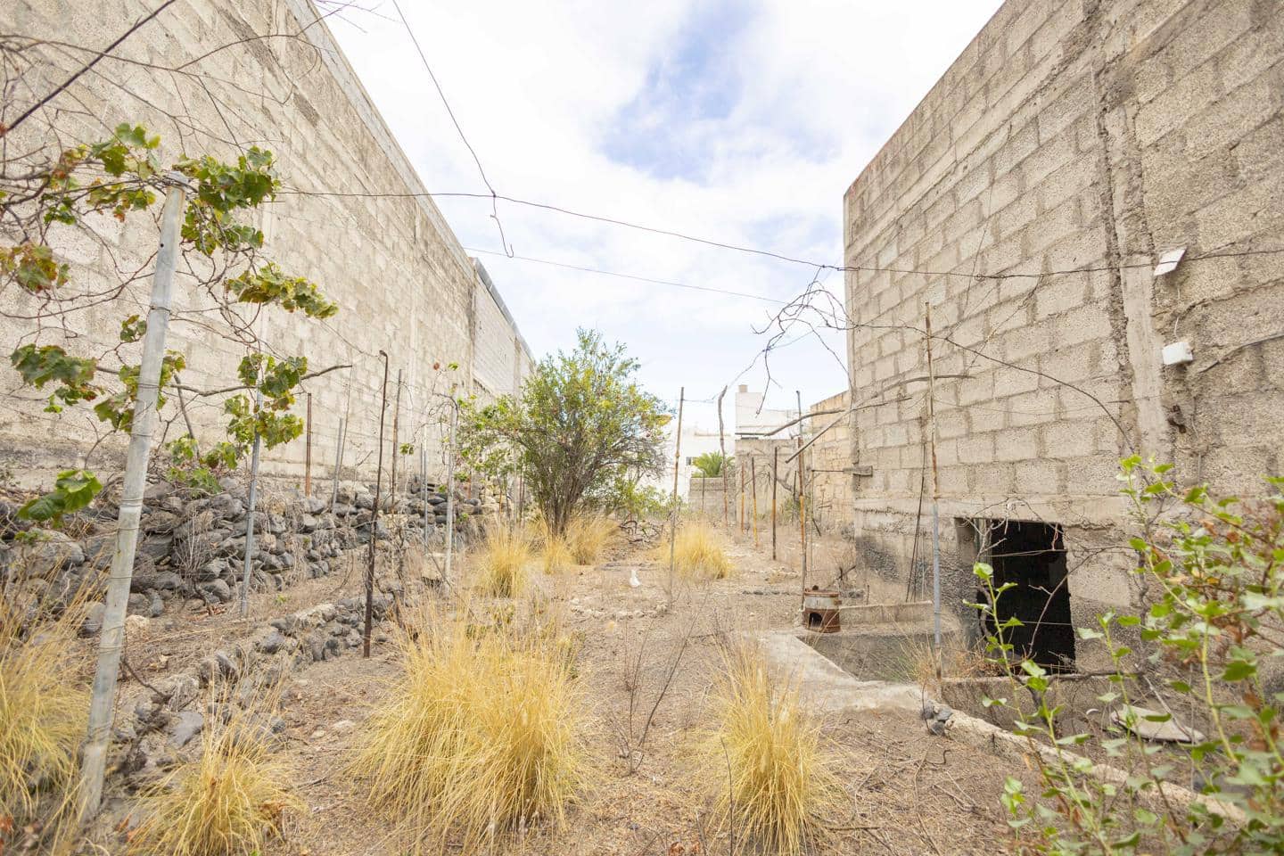 Mark till salu i Guimar - 95 000 € (Ref: 9363045)