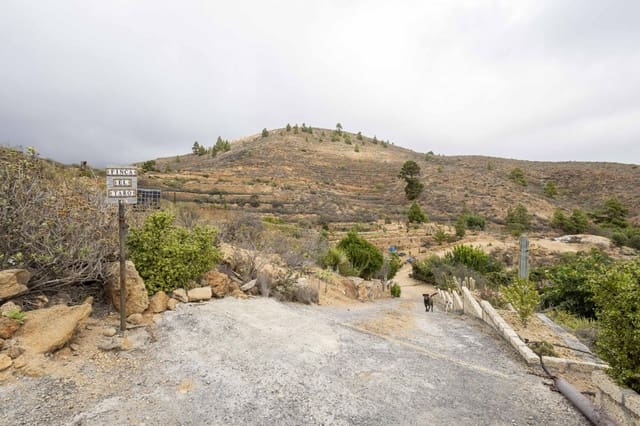 Undeveloped Land for sale in Arico - € 98,000 (Ref: 9363364)