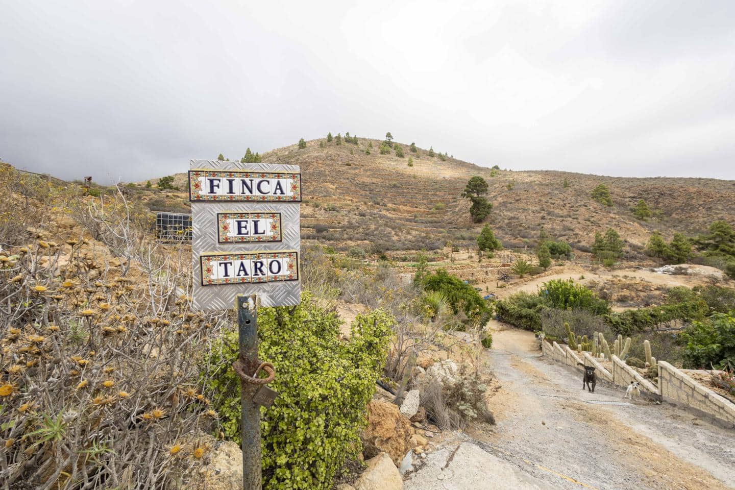 Terre non Aménagée à vendre à Arico - 98 000 € (Ref: 9363364)