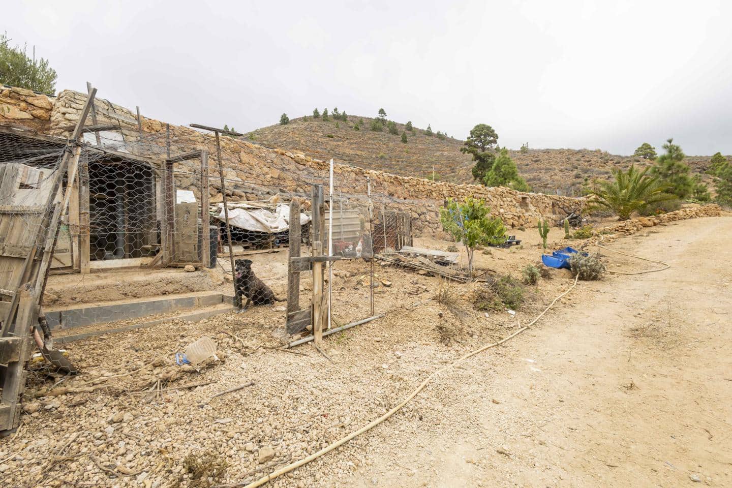 Terre non Aménagée à vendre à Arico - 98 000 € (Ref: 9363364)