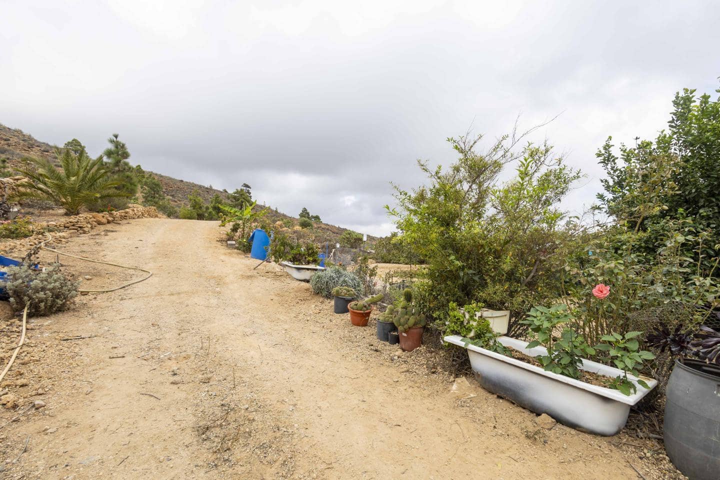 Terre non Aménagée à vendre à Arico - 98 000 € (Ref: 9363364)