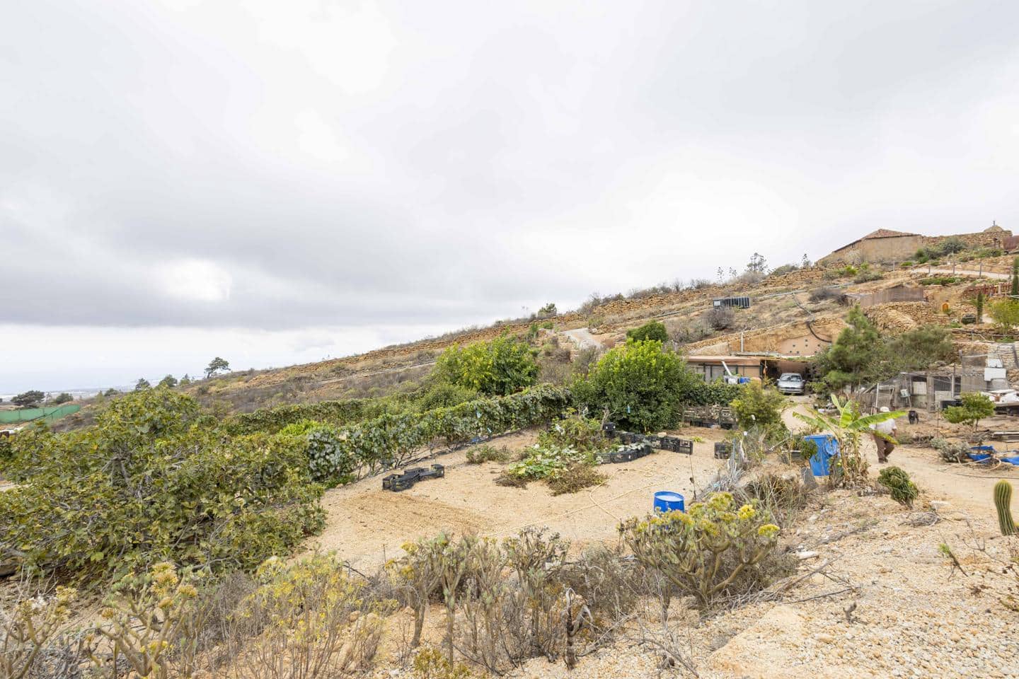 Terre non Aménagée à vendre à Arico - 98 000 € (Ref: 9363364)