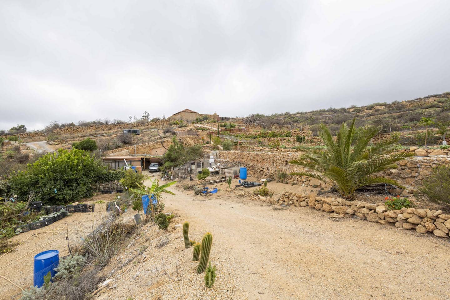 Terre non Aménagée à vendre à Arico - 98 000 € (Ref: 9363364)