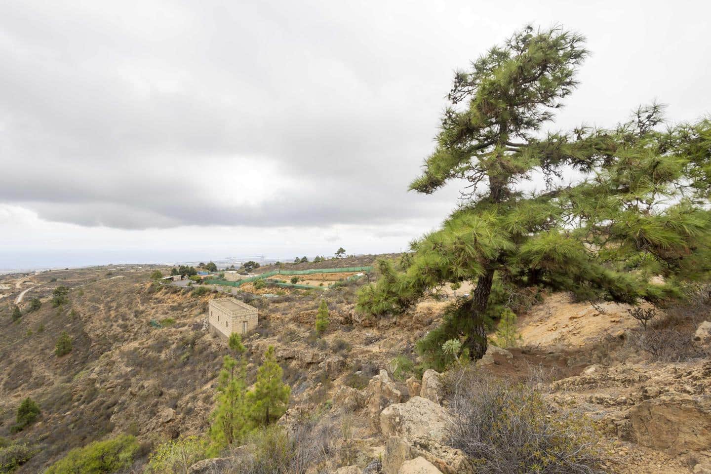 Terre non Aménagée à vendre à Arico - 98 000 € (Ref: 9363364)