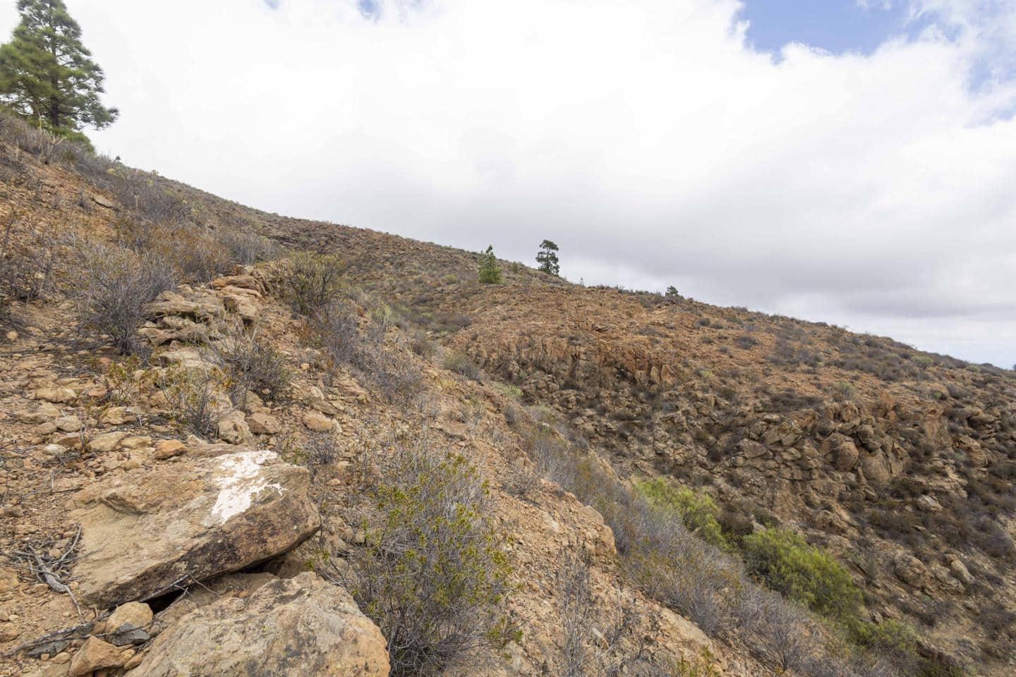 Terre non Aménagée à vendre à Arico - 98 000 € (Ref: 9363364)