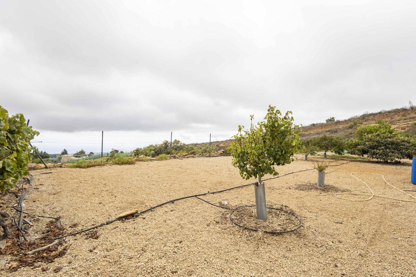 Terre non Aménagée à vendre à Arico - 98 000 € (Ref: 9363364)