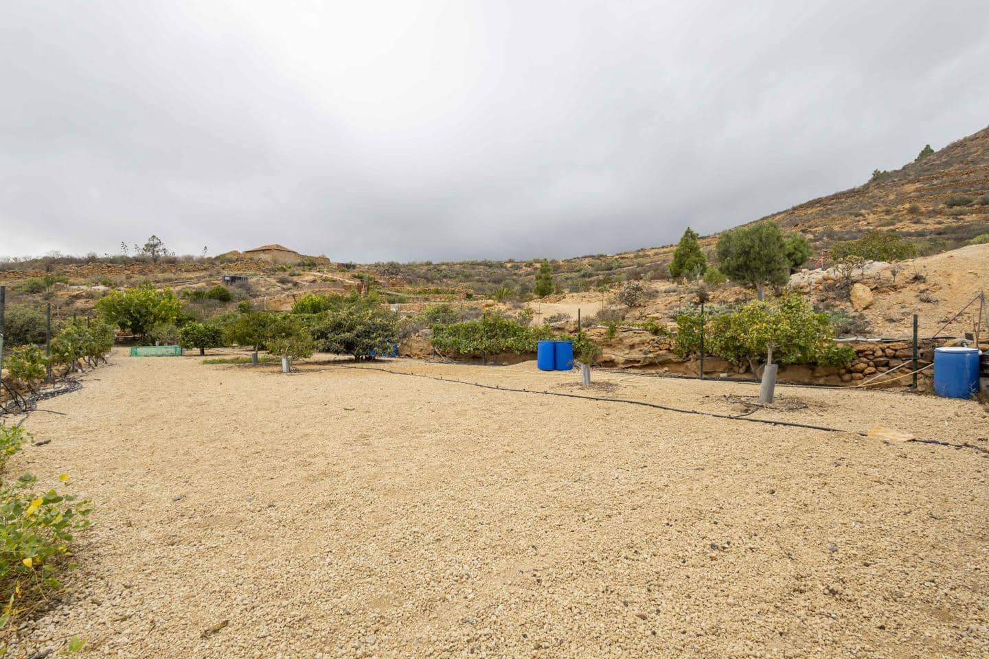 Terre non Aménagée à vendre à Arico - 98 000 € (Ref: 9363364)